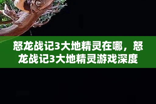 怒龙战记3大地精灵在哪,怒龙战记3大地精灵游戏深度分析 怒龙战记3大地精灵在哪,怒龙战记3大地精灵游戏深度分析