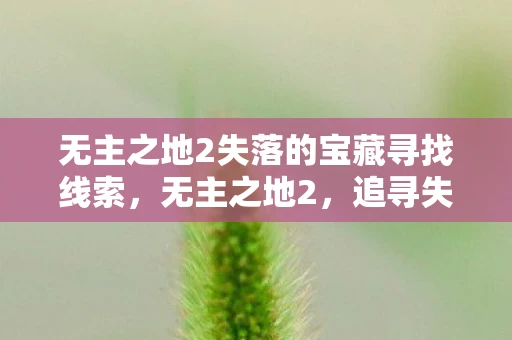 无主之地2失落的宝藏寻找线索，无主之地2，追寻失落的宝藏—一场刺激的冒险之旅