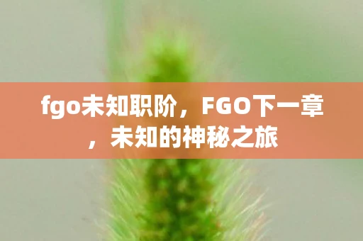 fgo未知职阶,FGO下一章,未知的神秘之旅 fgo未知职阶,FGO下一章,未知的神秘之旅