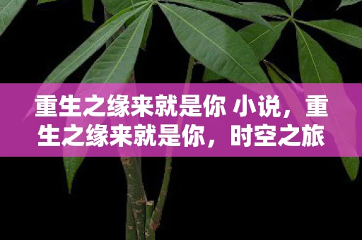 重生之缘来就是你 小说，重生之缘来就是你，时空之旅，命运之约
