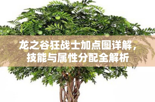 龙之谷狂战士加点图详解图片