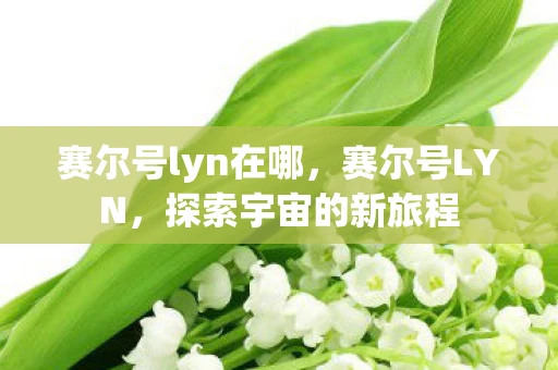 赛尔号lyn在哪,赛尔号LYN,探索宇宙的新旅程 赛尔号lyn在哪,赛尔号LYN,探索宇宙的新旅程