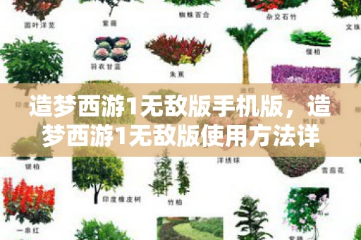 造梦西游1无敌版手机版，造梦西游1无敌版使用方法详解