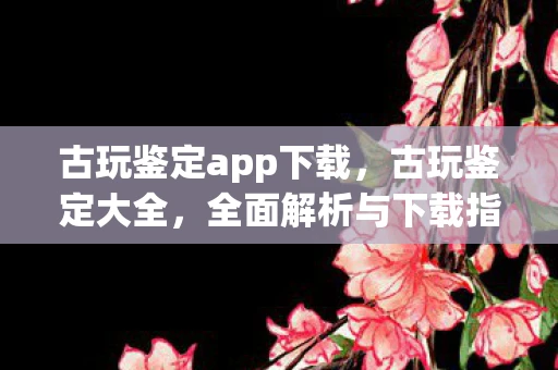 古玩鉴定app下载,古玩鉴定大全,全面解析与下载指南 古玩鉴定app下载,古玩鉴定大全,全面解析与下载指南