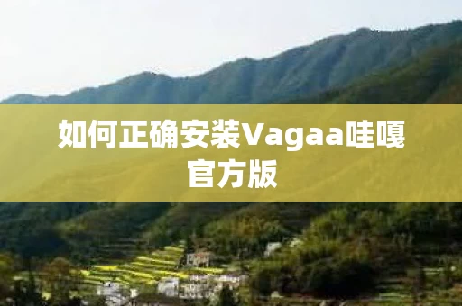 如何正确安装Vagaa哇嘎官方版图片