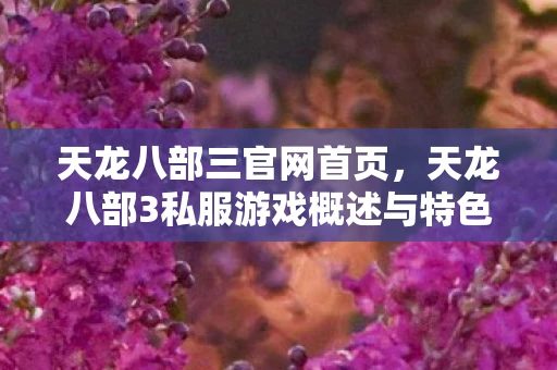 天龙八部三官网首页，天龙八部3私服游戏概述与特色资讯频道