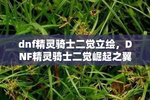 dnf精灵骑士二觉立绘，DNF精灵骑士二觉崛起之翼，掌控元素之力的新纪元
