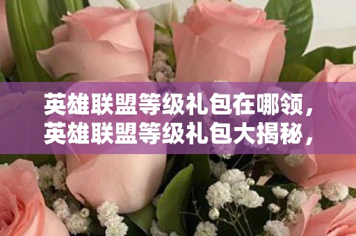 英雄联盟等级礼包在哪领，英雄联盟等级礼包大揭秘，一网打尽所有福利资讯