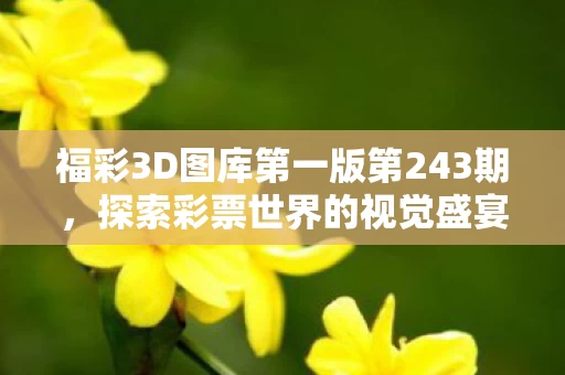 探索彩票世界的视觉盛宴与机遇之门图片