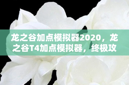 龙之谷加点模拟器2020，龙之谷T4加点模拟器，终极攻略助你打造最强角色