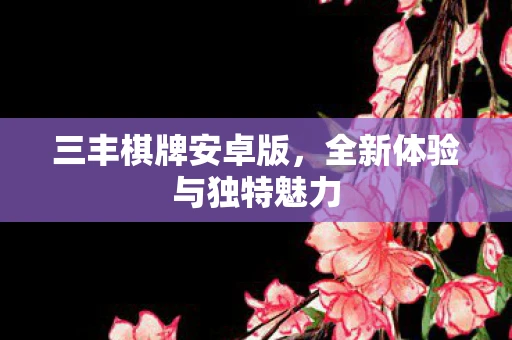 三丰棋牌安卓版，全新体验与独特魅力