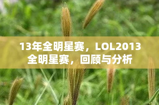 13年全明星赛，LOL2013全明星赛，回顾与分析