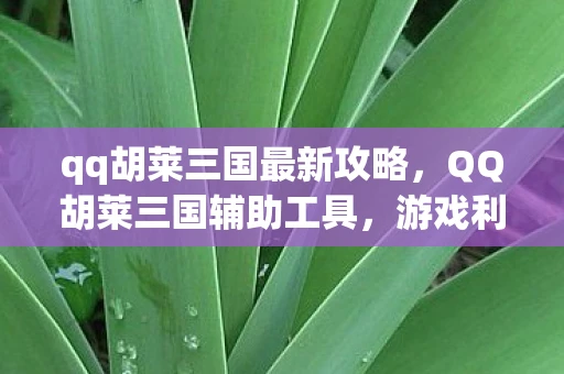 qq胡莱三国最新攻略，QQ胡莱三国辅助工具，游戏利器助你轻松玩转三国