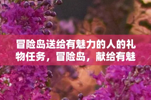冒险岛送给有魅力的人的礼物任务，冒险岛，献给有魅力的人