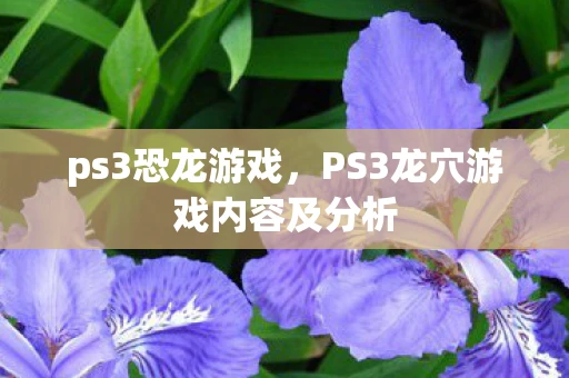 ps3恐龙游戏，PS3龙穴游戏内容及分析