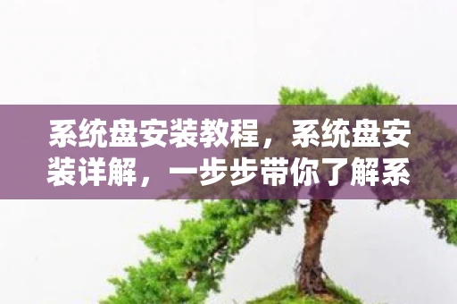 系统盘安装教程，系统盘安装详解，一步步带你了解系统盘安装步骤