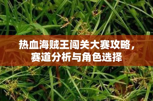 热血海贼王闯关大赛攻略图片