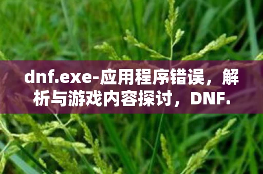 dnf.exe-应用程序错误，解析与游戏内容探讨，DNF.exe应用程序错误