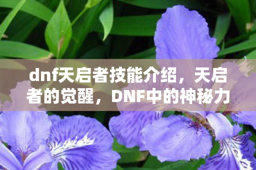 dnf天启者技能介绍，天启者的觉醒，DNF中的神秘力量资讯