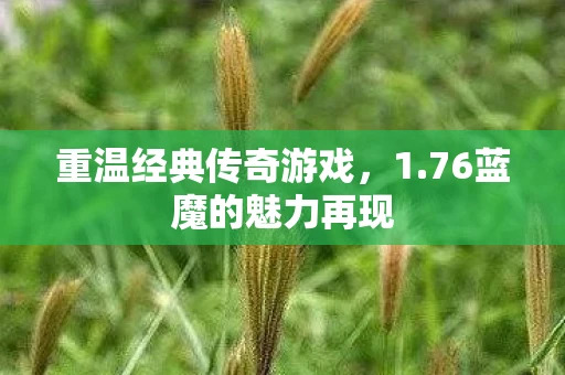 重温经典传奇游戏，1.76蓝魔的魅力再现