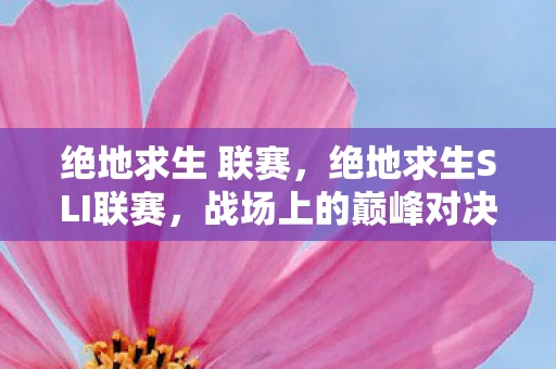 绝地求生 联赛，绝地求生SLI联赛，战场上的巅峰对决