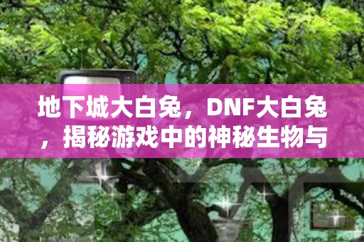 地下城大白兔，DNF大白兔，揭秘游戏中的神秘生物与玩家间的独特情感纽带