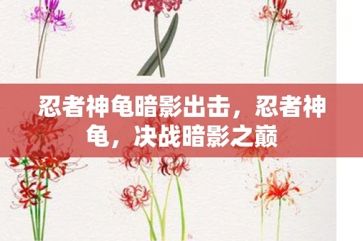 忍者神龟暗影出击，忍者神龟，决战暗影之巅