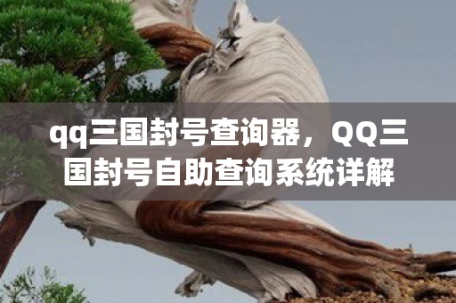 qq三国封号查询器,QQ三国封号自助查询系统详解 qq三国封号查询器,QQ三国封号自助查询系统详解