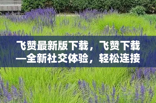 飞赞最新版下载，飞赞下载—全新社交体验，轻松连接世界