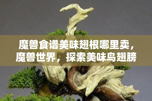 魔兽食谱美味翅根哪里卖，魔兽世界，探索美味鸟翅膀的奇妙之旅