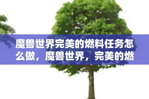 魔兽世界完美的燃料任务怎么做，魔兽世界，完美的燃料获取全攻略，助你轻松完成任务