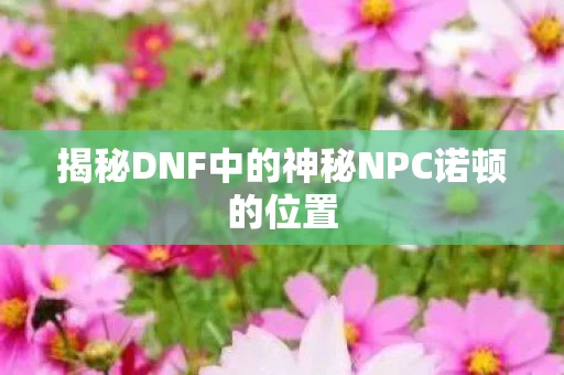 揭秘DNF中的神秘NPC诺顿的位置图片