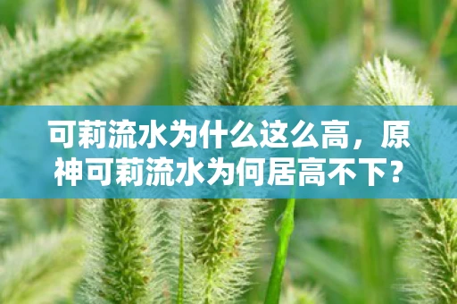 可莉流水为什么这么高，原神可莉流水为何居高不下？