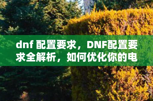 dnf 配置要求，DNF配置要求全解析，如何优化你的电脑以畅玩这款经典游戏