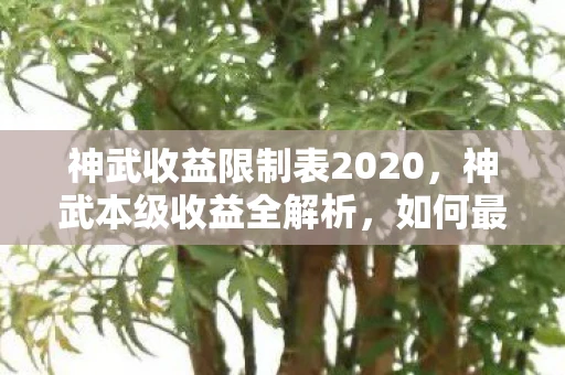 神武收益限制表2020，神武本级收益全解析，如何最大化你的游戏收益