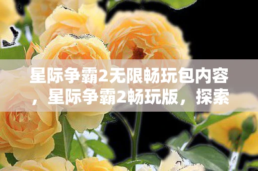 星际争霸2无限畅玩包内容，星际争霸2畅玩版，探索无尽星际，畅享激战乐趣