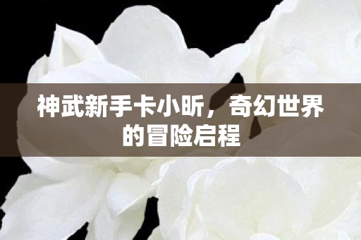 奇幻世界的冒险启程图片
