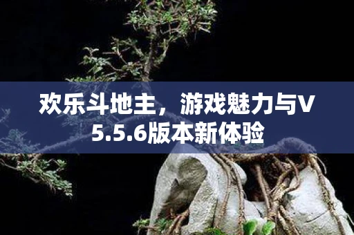 欢乐斗地主，游戏魅力与V5.5.6版本新体验