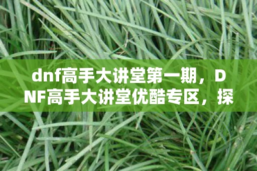 dnf高手大讲堂第一期，DNF高手大讲堂优酷专区，探索无尽的战斗艺术之旅