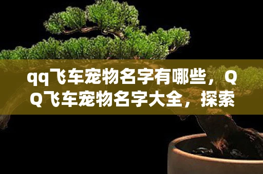 qq飞车宠物名字有哪些，QQ飞车宠物名字大全，探索与战斗的伙伴手