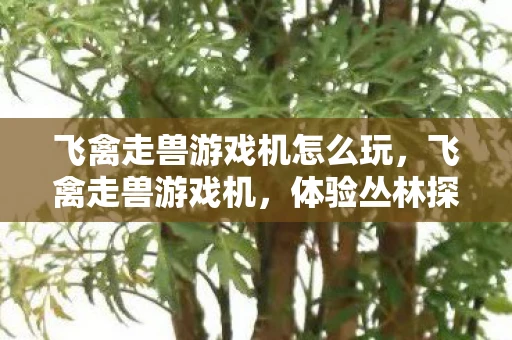 飞禽走兽游戏机怎么玩，飞禽走兽游戏机，体验丛林探险的乐趣