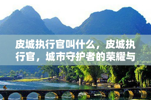 皮城执行官叫什么，皮城执行官，城市守护者的荣耀与挑战