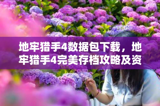 地牢猎手4数据包下载，地牢猎手4完美存档攻略及资讯频道