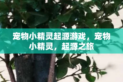 宠物小精灵起源游戏,宠物小精灵,起源之旅 宠物小精灵起源游戏,宠物小精灵,起源之旅