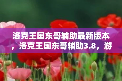 洛克王国东哥辅助最新版本，洛克王国东哥辅助3.8，游戏辅助工具深度解析