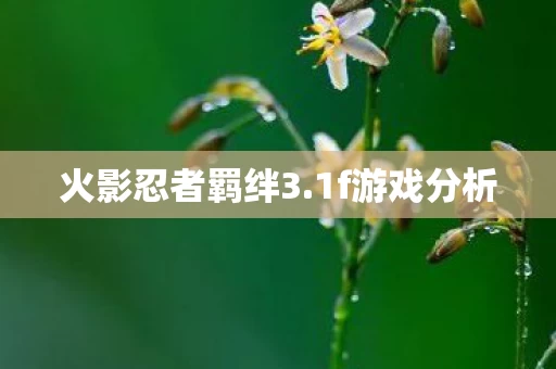 火影忍者羁绊3图片