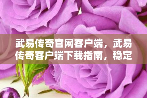 武易传奇官网客户端，武易传奇客户端下载指南，稳定下载体验全解析