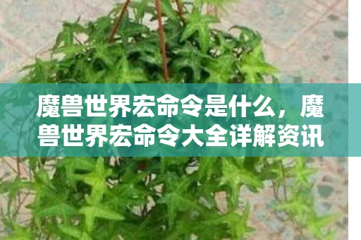 魔兽世界宏命令是什么，魔兽世界宏命令大全详解资讯频道