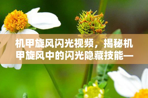 机甲旋风闪光视频，揭秘机甲旋风中的闪光隐藏技能—探索极致战斗潜能