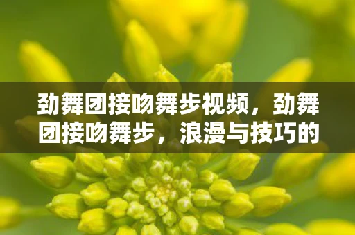 劲舞团接吻舞步视频，劲舞团接吻舞步，浪漫与技巧的完美结合